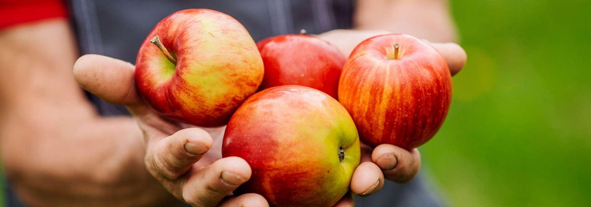 Heritage Natural Foods Customers