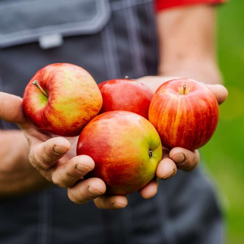 Heritage Natural Foods Customers