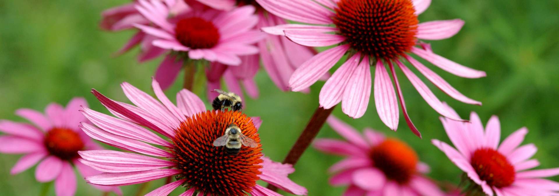 shelves full of product to purchase